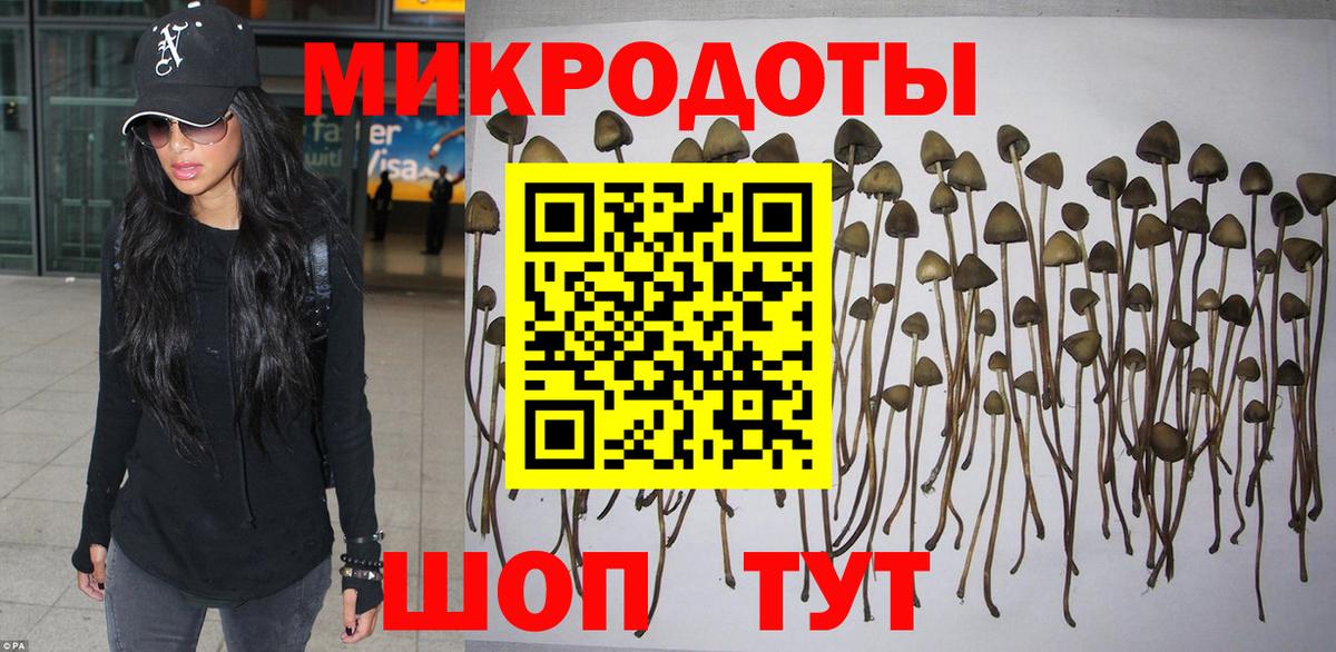 дарнет шоп  Вход с VPN  Калуга  Галлюциногенные грибы Psilocybe 